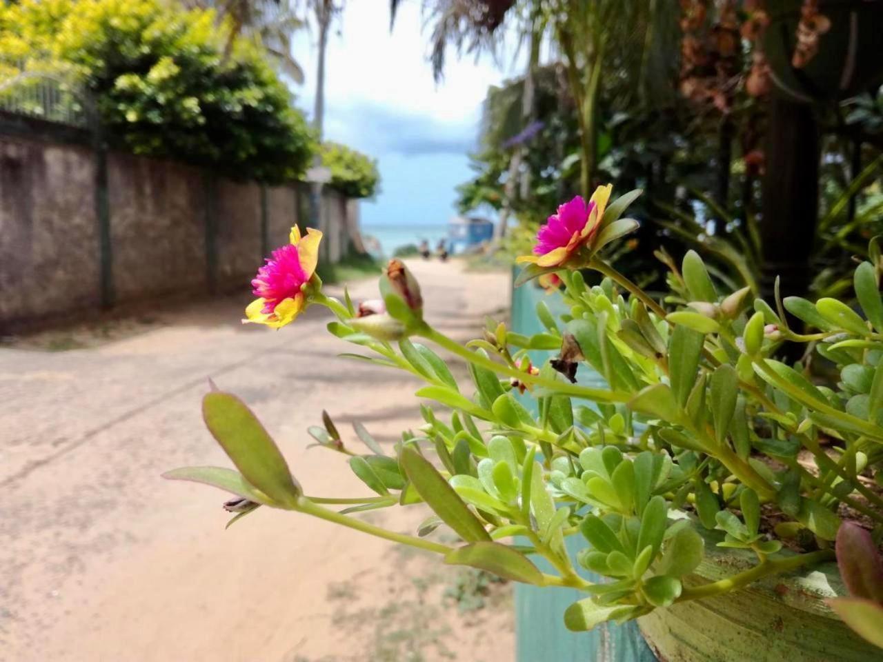 Sunrise Guest House & Restaurant Tangalle Εξωτερικό φωτογραφία